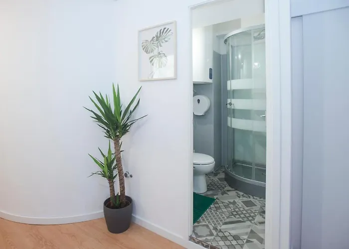 Automatic Albergue *